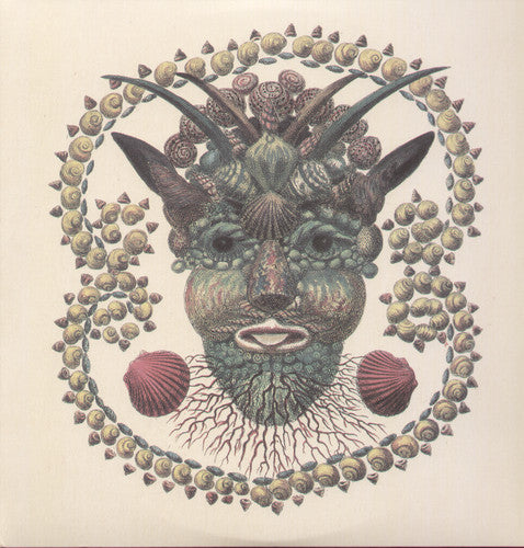 Akron/Family: Akron/Family (Vinyl)