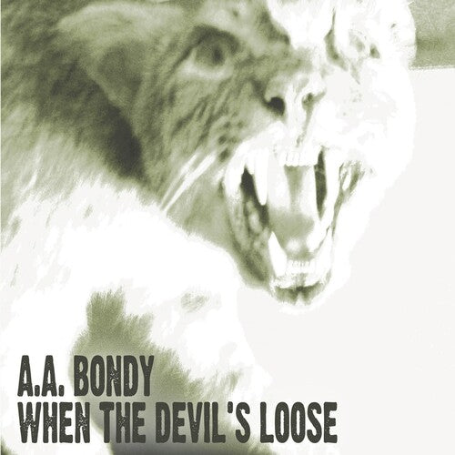 A.A. Bondy: When the Devil's Loose (Vinyl)