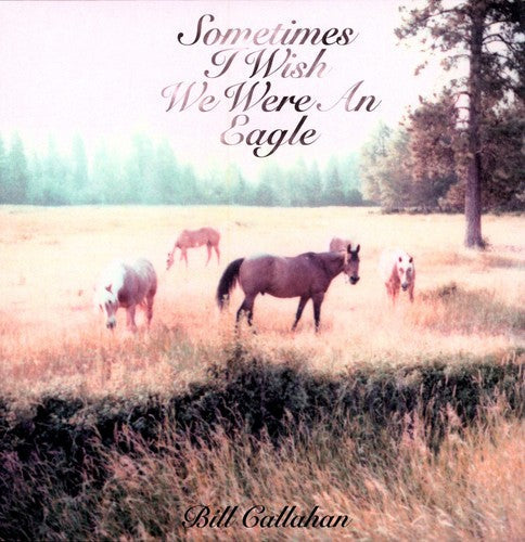 Bill Callahan: Sometimes I Wish We Were An Eagle (Vinyl)
