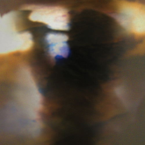 Animal Collective: Fall Be Kind (Vinyl)