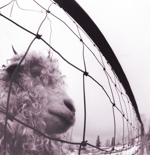 Pearl Jam: PEARL JAM / VS (Vinyl)