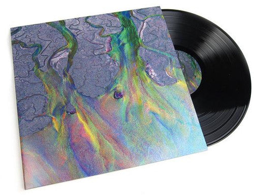 Alt-J: An Awesome Wave (Vinyl)