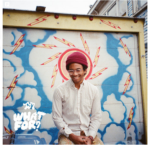 Toro y Moi: What for - Vinyl LP