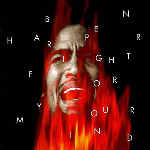 Ben Harper: Fight for Your Mind (Vinyl)