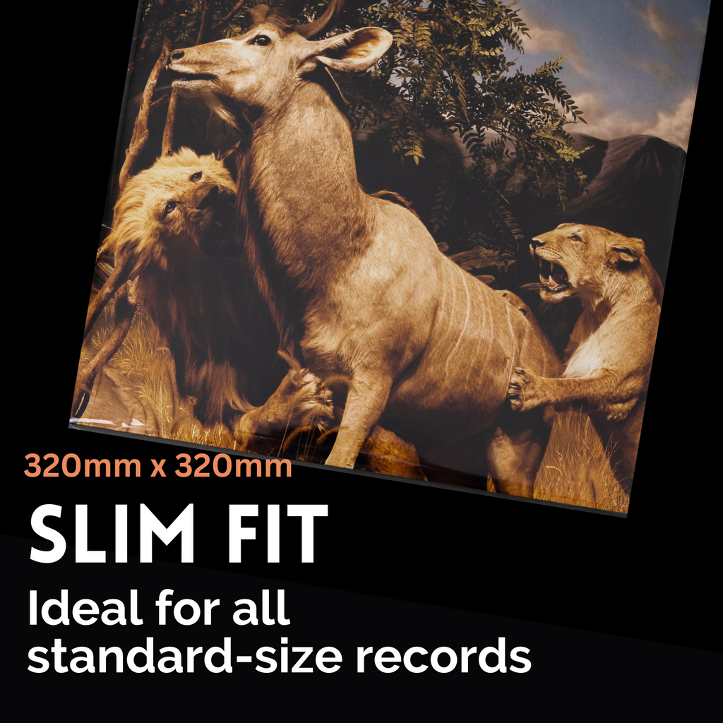 100 Pack 12" Vinyl Record Outer Sleeves (Slim Size)