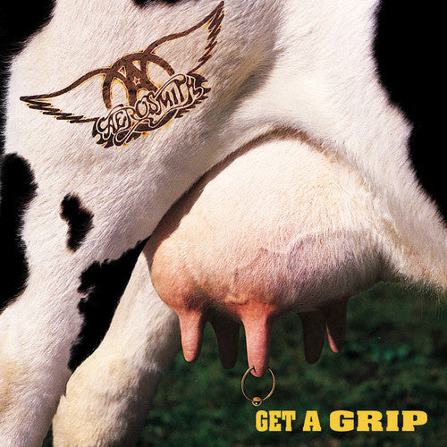 Aerosmith: Get A Grip (Vinyl)