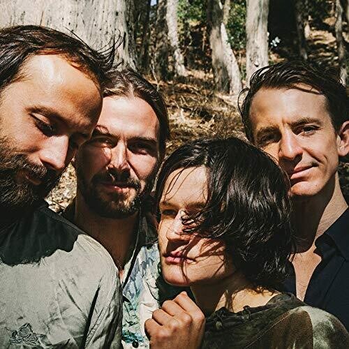 Big Thief: Two Hands (Vinyl)