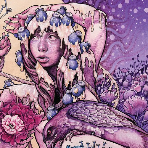 Baroness: Try To Disappear (Vinyl)