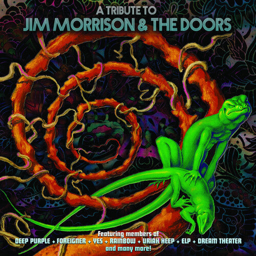 Various Artists: A Tribute To Jim Morrison & The Doors (Various Artists) (Vinyl)