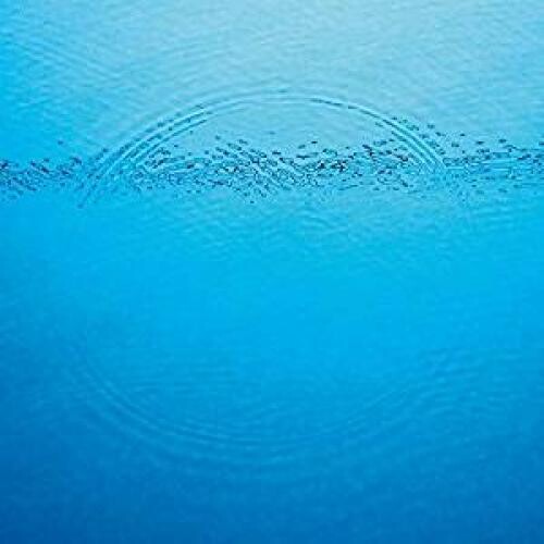 Caribou: Suddenly (Vinyl)