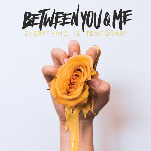 Between You & Me: Everything Is Temporary (Vinyl)