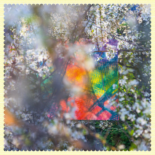 Four Tet: Sixteen Oceans (Vinyl)