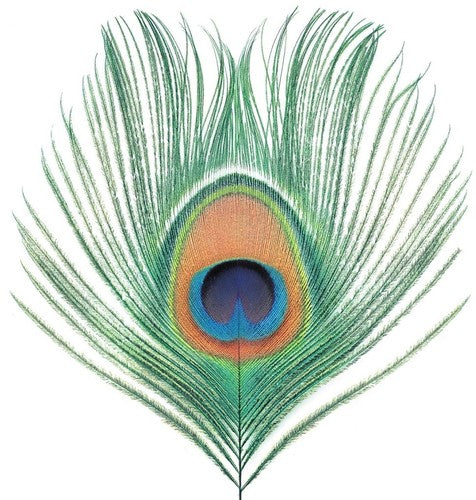 XTC: Apple Venus Vol 1 (Vinyl)