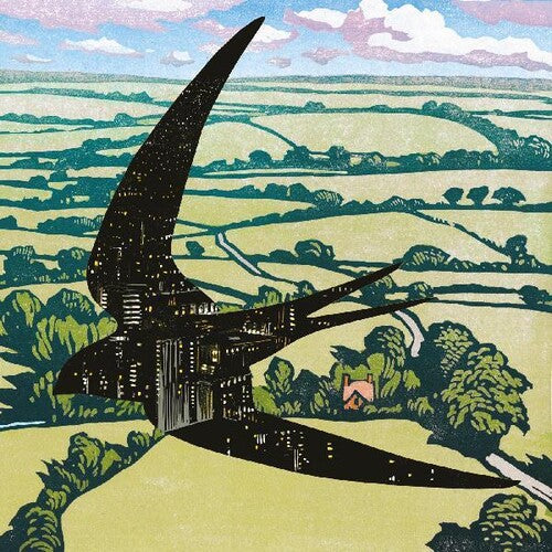 Bibio: Sleep On The Wing (Vinyl)