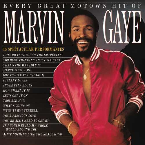 Marvin Gaye: Every Great Motown Hit Of Marvin Gaye: 15 Spectacular Performances (Vinyl)