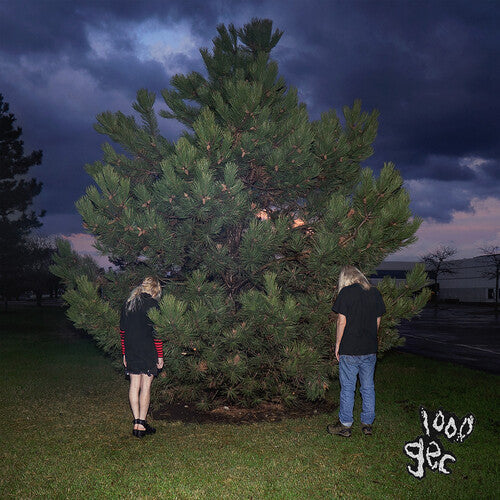 100 gecs: 1000 Gecs (Vinyl)