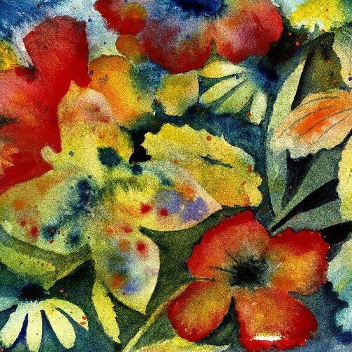 Adrianne Lenker: Songs And Instrumentals (Vinyl)