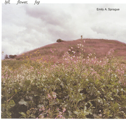 Emily a Sprague: Hill, Flower, Fog (Vinyl)