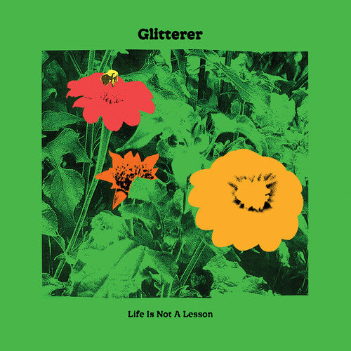 Glitterer: Life Is Not A Lesson (Vinyl)