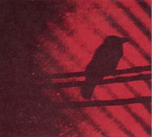 A Silver Mt. Zion: Born Into Trouble As the Sparks Fly Upward (Vinyl)