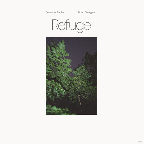 Devendra Banhart: Refuge (Blue Seaglass Wave Translucent Vinyl) (Vinyl)