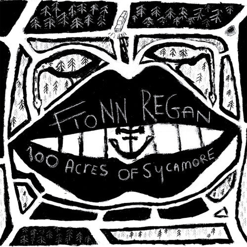 Fionn Regan: 100 Acres Of Sycamore (Vinyl)