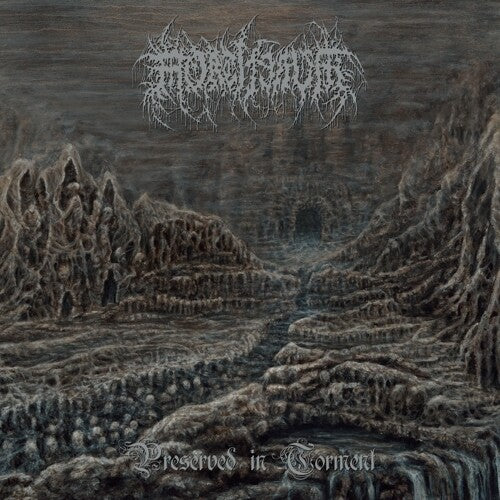 Mortiferum: Preserved In Torment (Vinyl)