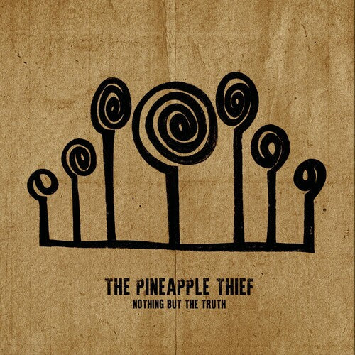 Pineapple Thief: Nothing But The Truth (Vinyl)