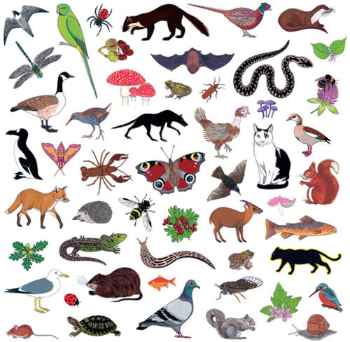 Modern Nature: Island Of Noise (Vinyl)