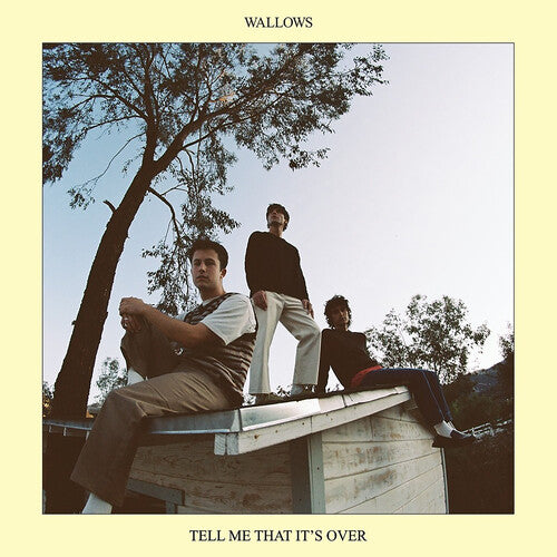 Wallows: Tell Me That It's Over (Vinyl)