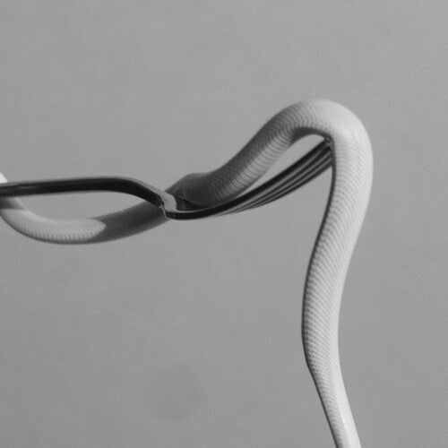 Animals as Leaders: Parrhesia (Vinyl)