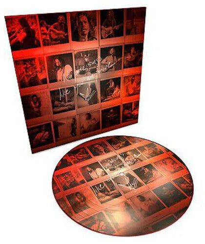 Chris Cornell: No One Sings Like You Anymore (Vinyl)