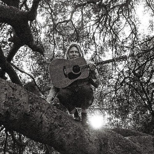 Ty Segall: Hello Hi (Vinyl)