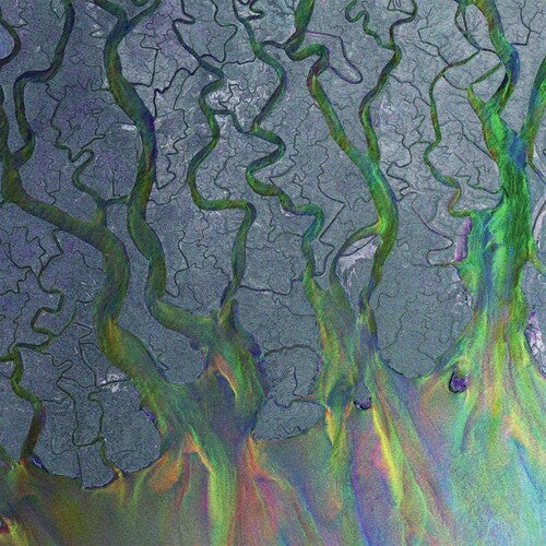 Alt-J: Awesome Wave (Vinyl)