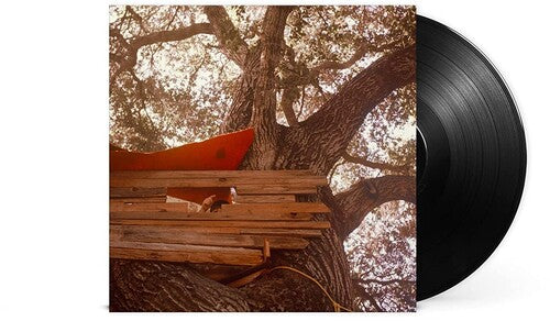 Backseat Lovers: Waiting To Spill (Vinyl)