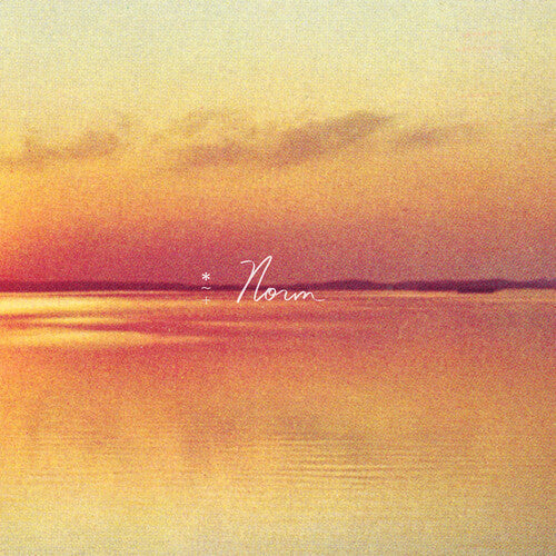 Andy Shauf: Norm (Vinyl)