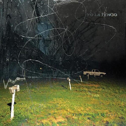 Yo La Tengo: This Stupid World (Vinyl)