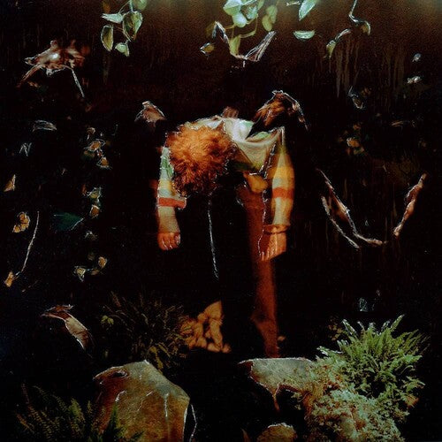 Cavetown: Worm Food (Vinyl)