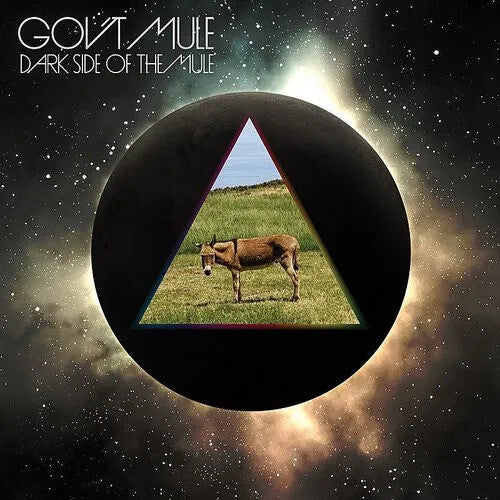 Gov't Mule: Dark Side Of The Mule (Vinyl)
