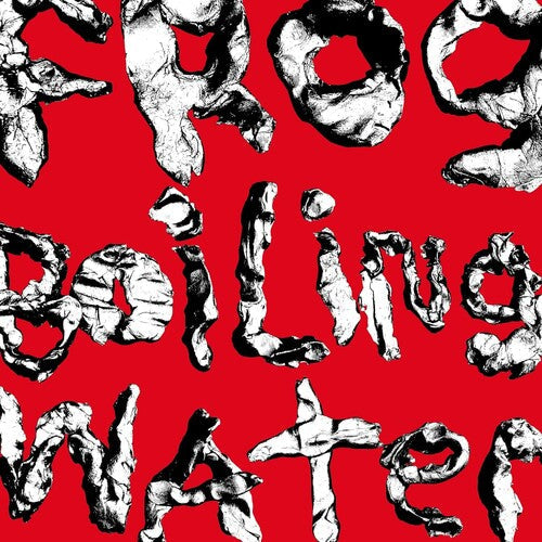 DIIV: Frog In Boiling Water - Vinyl LP
