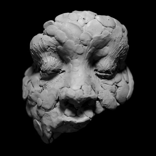 Joy Oladokun: Observations From A Crowded Room - Vinyl LP