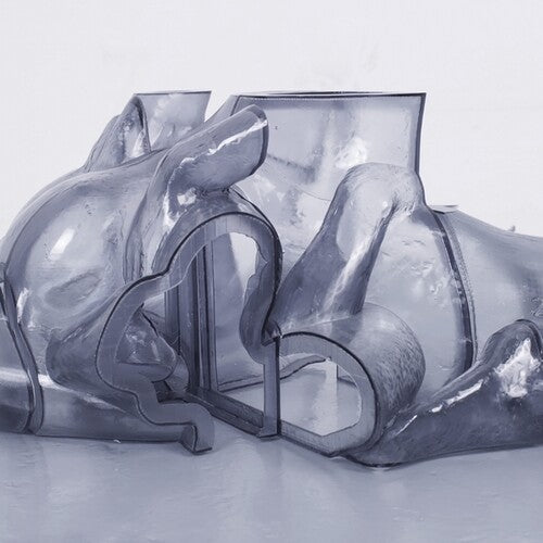 The Carrier: Rhythm Immortal (Vinyl)