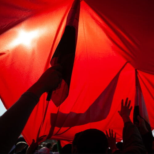 Midnightroba: Raise A Symphony (Vinyl)