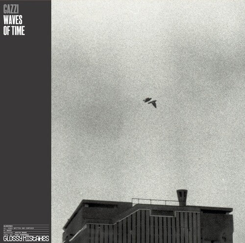 Gazzi: Waves Of Time (Vinyl)